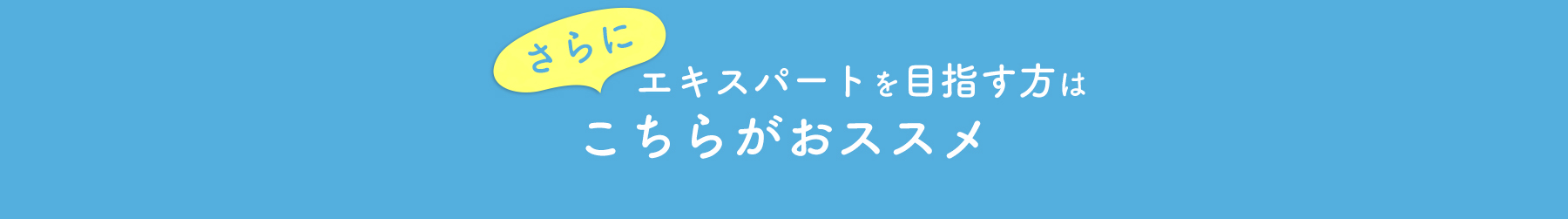 さらにエキスパートを目指す方はこちらがおススメ