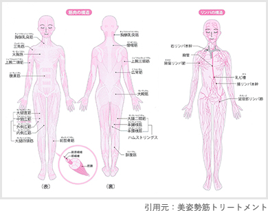 スリムボディセラピスト資格｜1日で取れる人気の痩身エステ資格